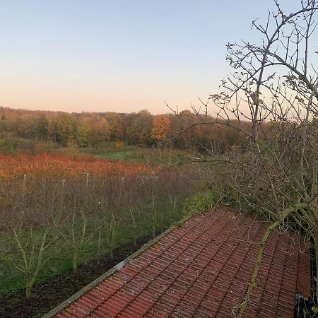 Mon Repos Villa Saint Brice sous Foret Bagian luar foto