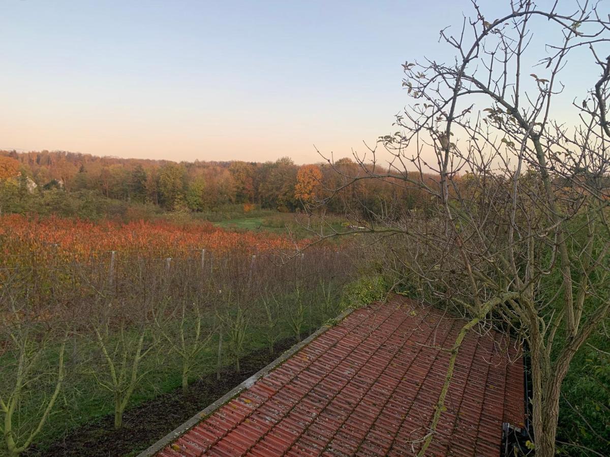 Mon Repos Villa Saint Brice sous Foret Bagian luar foto